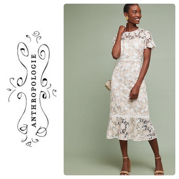 shoshanna petite dresses